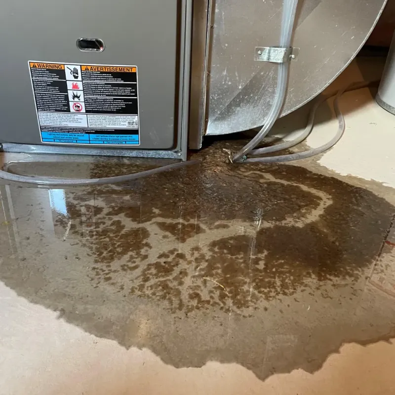 Appliance Leak Cleanup in Jefferson County, AL